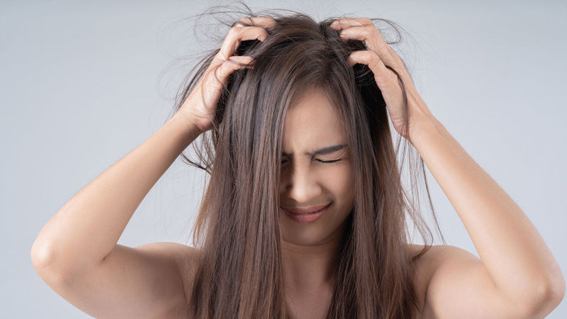 Oily Scalp and Hair Loss: The Truth